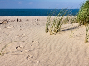 Fußspuren im Sand mit Strandhafer und dem Meer am Horizont
